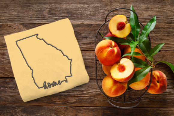 Georgia Home State Outline Review