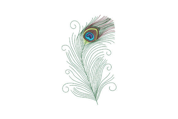 Peacock Feather with Swirls Embroidery Review